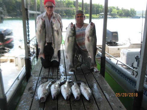 Nice Striped Bass